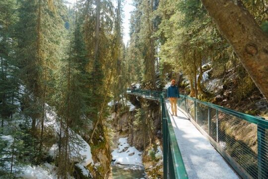 Lake Louise and Johnston Canyon Winter Expedition
